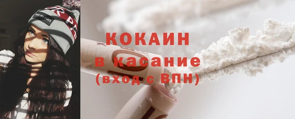 молекула духа Переславль-Залесский