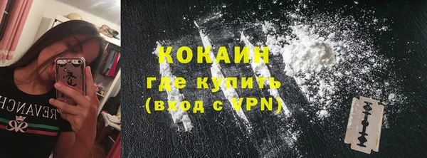 стаф Пестово