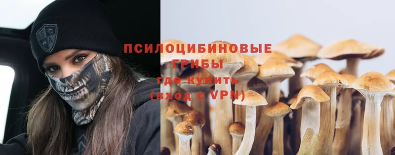 гидра маркетплейс  Энем  Псилоцибиновые грибы MAGIC MUSHROOMS 